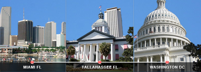 Political Campaigns Riesco and Company